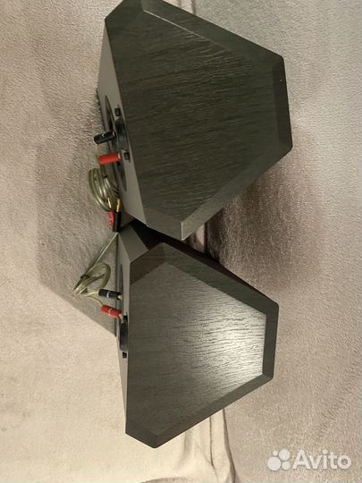 Mondaunt-short колонки разработаны в Лондоне