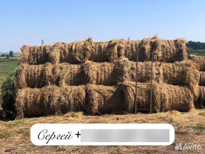 Сено в тюках