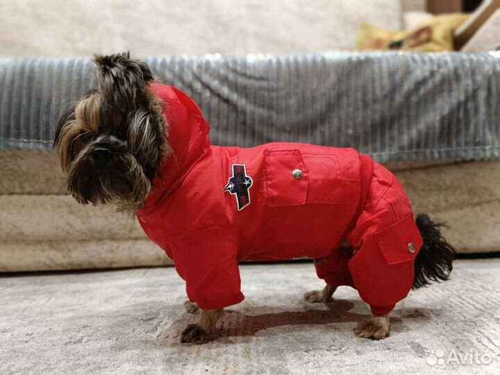 Зимний комбинезон для собаки