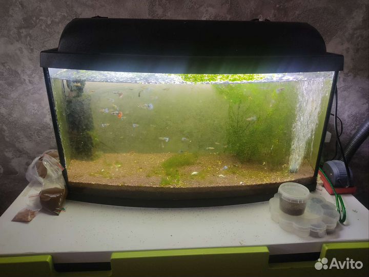Оборудование для аквариума