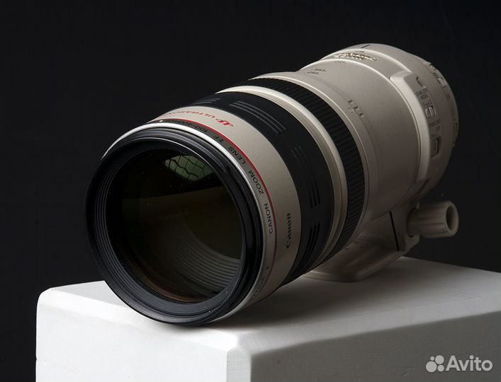 Canon EF 100-400mm f/4.5-5.6L IS USM