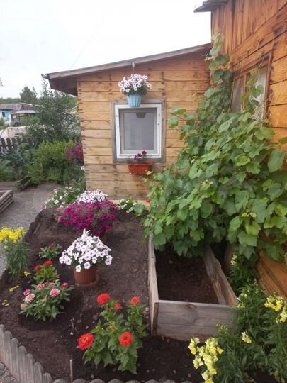 Дача 42 м² на участке 6 сот.