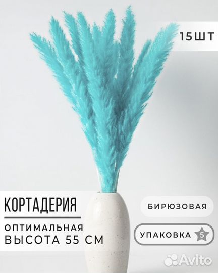 Сухоцветы новые