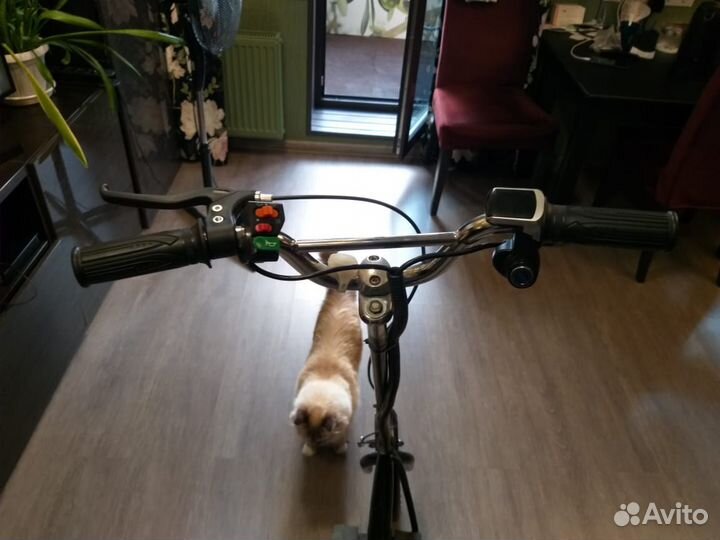 Самодельный электрический самокат