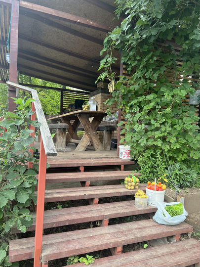 Участок 9,9 сот. (СНТ, ДНП)