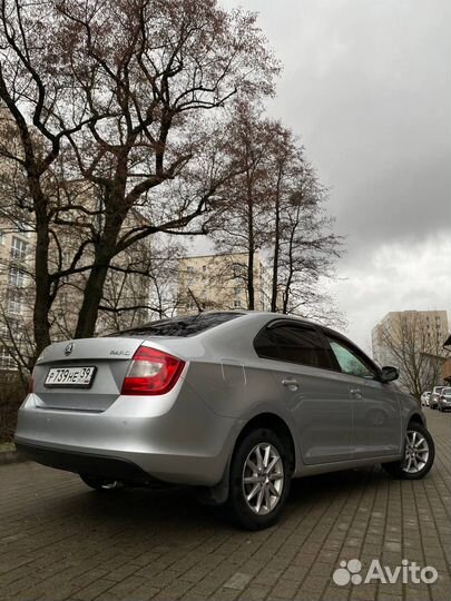Прокат аренда Шкода Рапид Skoda Rapid