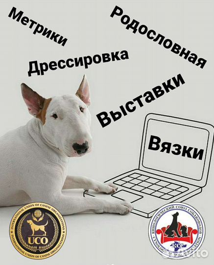 Документы для Вашей собаки