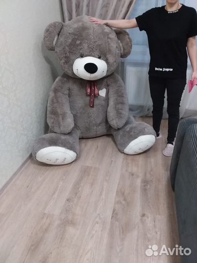 Плюшевый медведь
