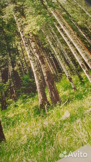 Фотообои #Роща