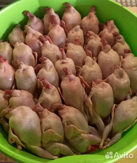 Мясо перепелки