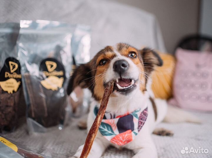 Лакомства для собак, натуральный корм для собак