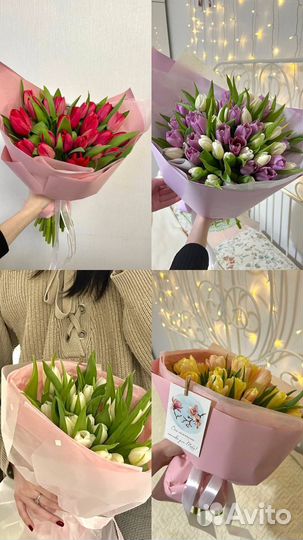 Свежые тюльпаны