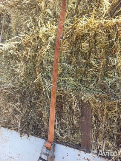 Сено в тюках