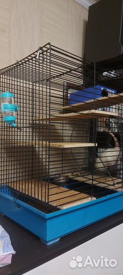 Клетка для грызунов вместе с крысой