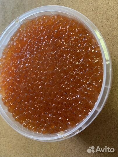 Красная икра 2023 горбуши