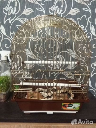 Клетка для птиц