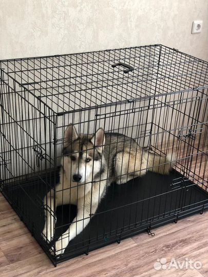 Клетка для крупных собак №6