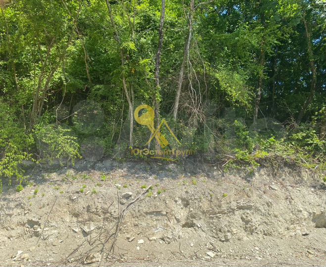 Участок 4 сот. (СНТ, ДНП)