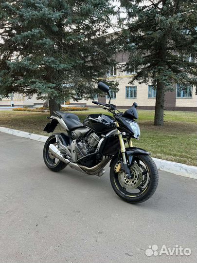 Honda cb 600 Hornet