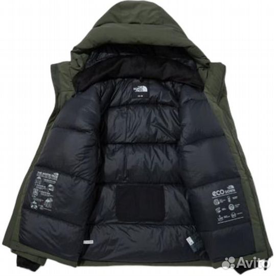 THE north face Jacket Men Green (XS)(38)