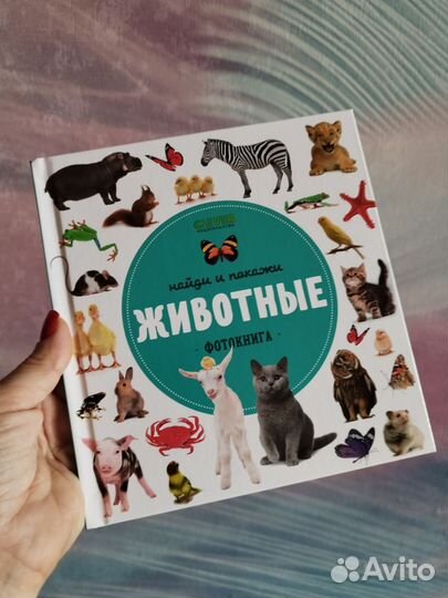 Детские книги. Фотокниги. Clever