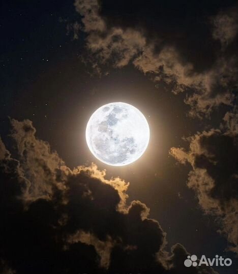 Интересует