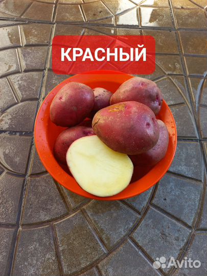 Картошка с доставкой элит качества