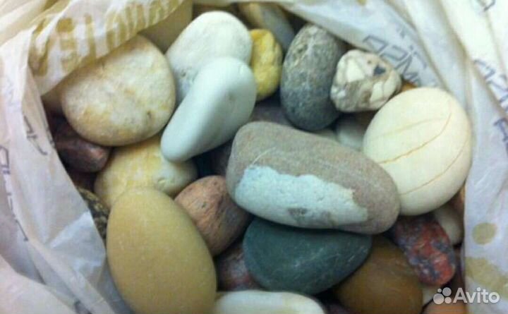 Камешки морские - для поделок или в аквариум