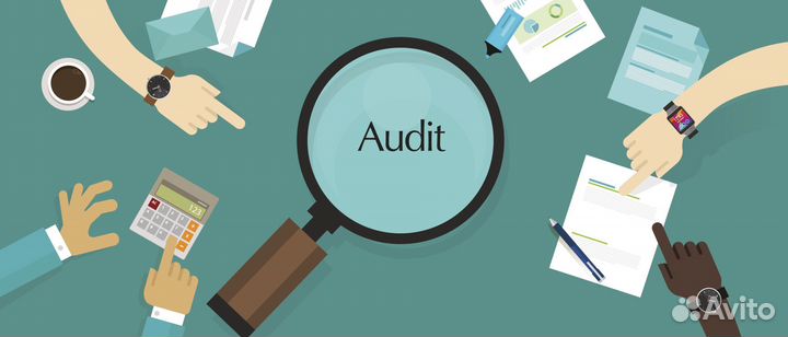 Аудит бухгалтерского и управленческого учета