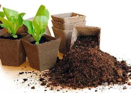 Перегной прелый