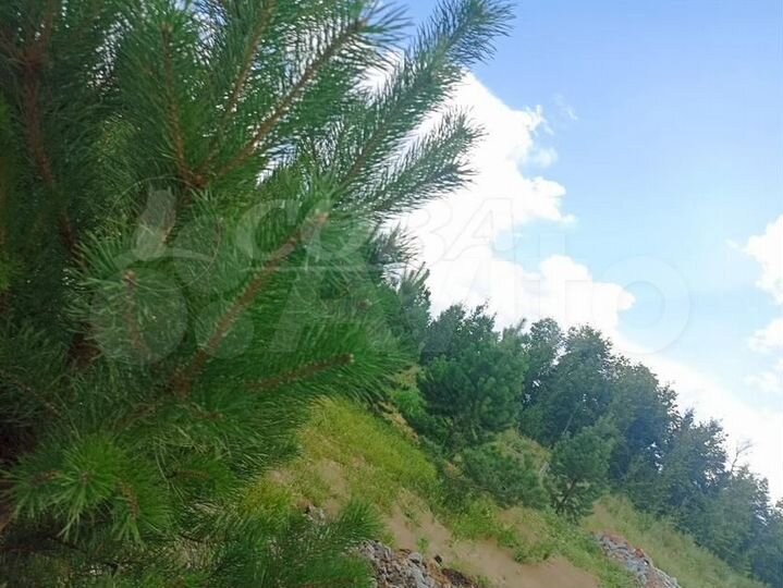 Участок 8,1 сот. (ИЖС)