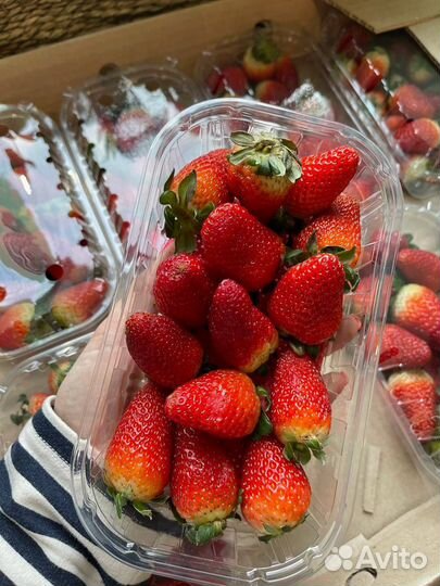 Клубника (Армения )