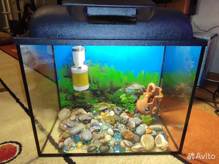 Аквариум