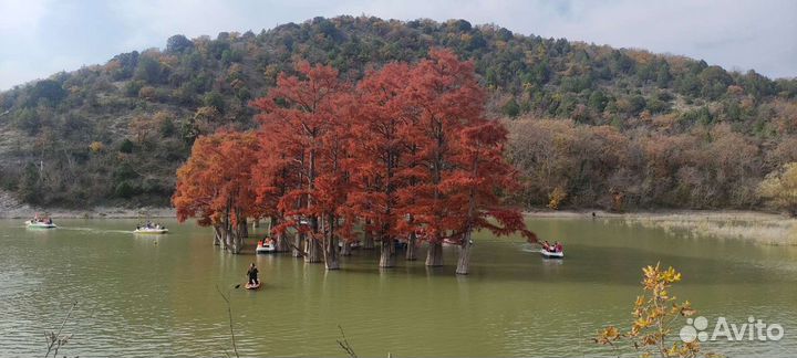 Индивидуальные экскурсии по Анапе, Сукко, Утриш