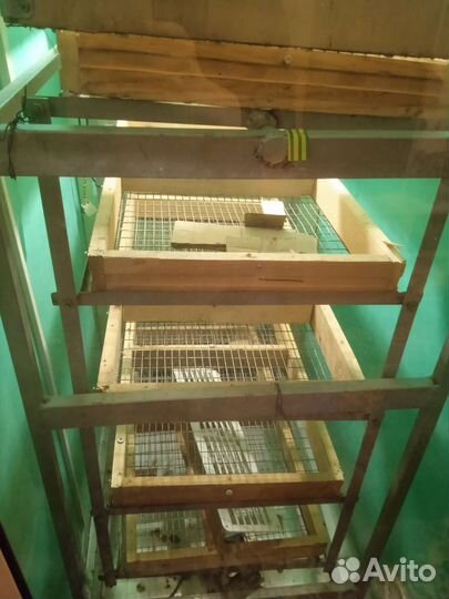 Продам инкубатор