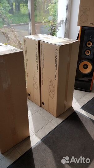 Напольная акустика Dali Oberon 7