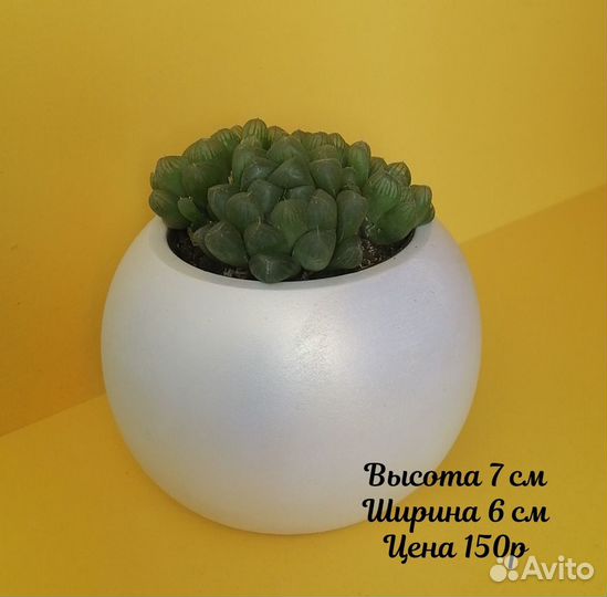 Кашпо под цветы