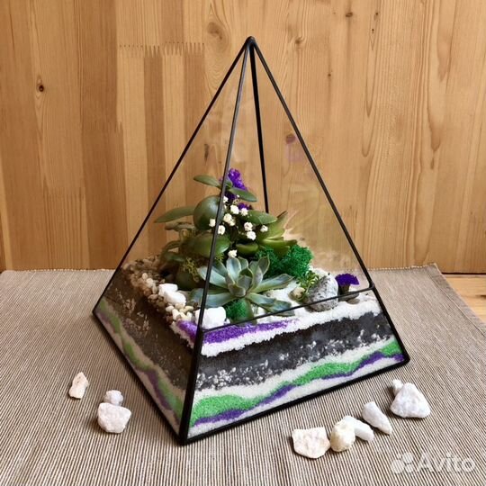 Флорариум Финансовая Пирамида с суккулентами