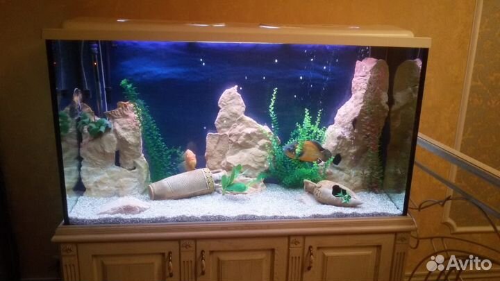 Обслуживание Аквариумов