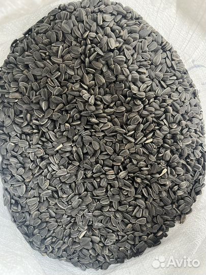 Семечки подсолнечника