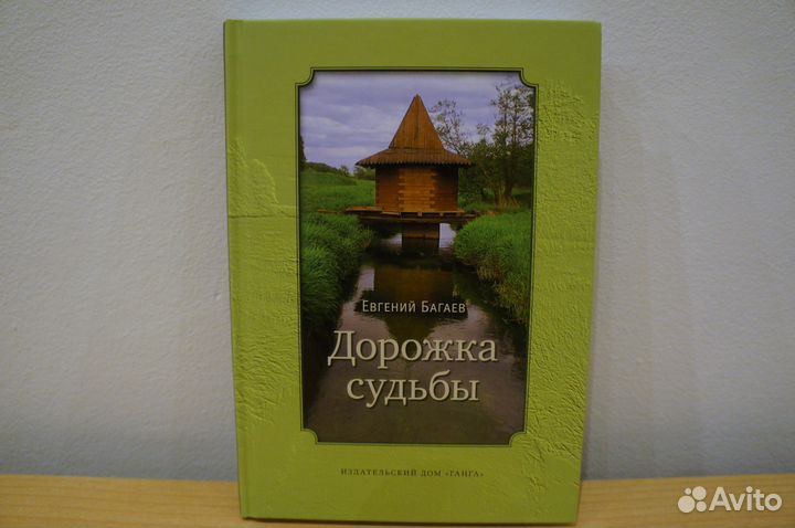 Евгений Багаев Новые книги