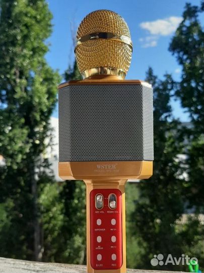Беспроводной караоке микрофон wster 1828