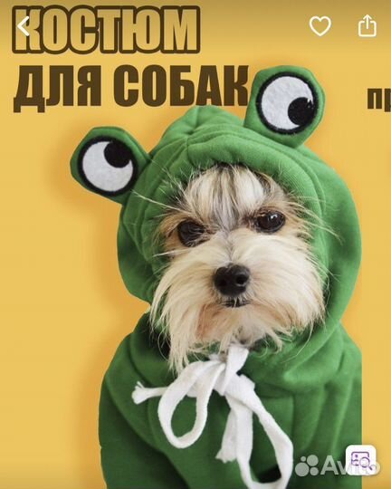 Одежда для собаки