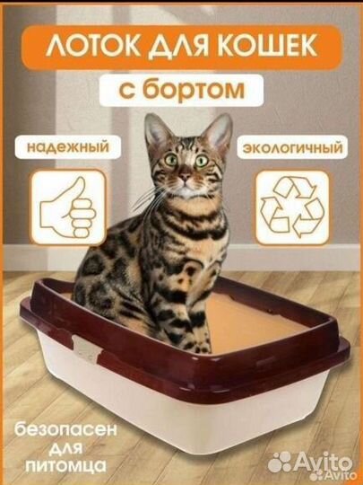 Лоток для кошек большой