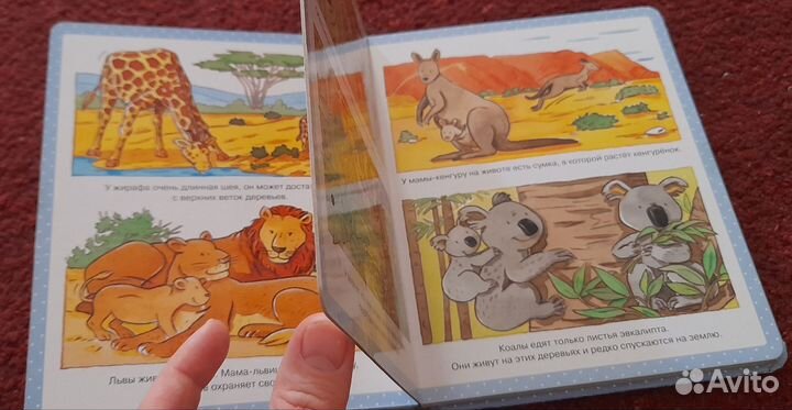 Книжка Первая энциклопедия малыша