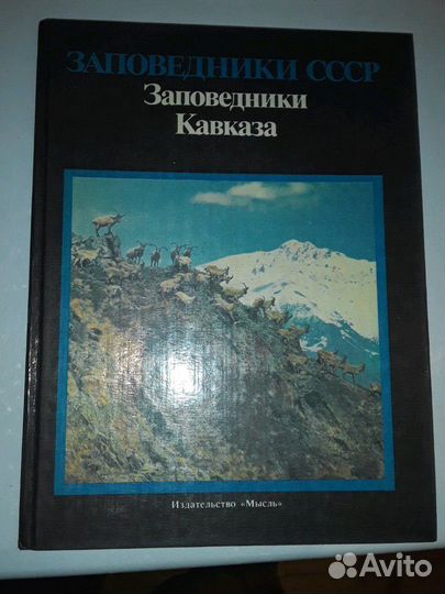 Книги, отправляю