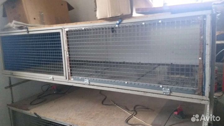 Брудора для выращивания цыплят