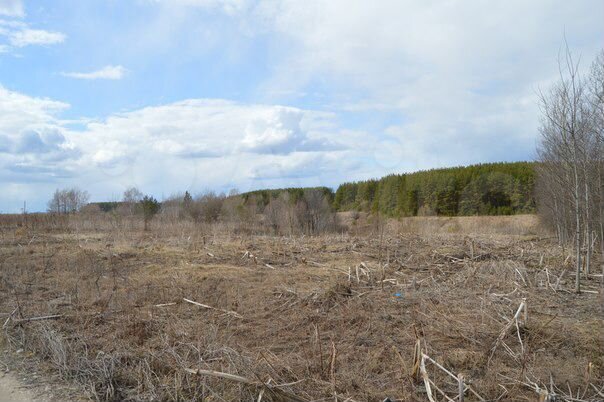 Участок 16,6 сот. (ИЖС)