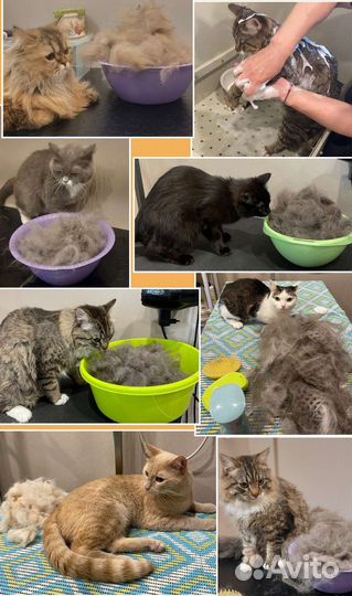 Стрижка собак. Груминг. Грумер для хвостиков