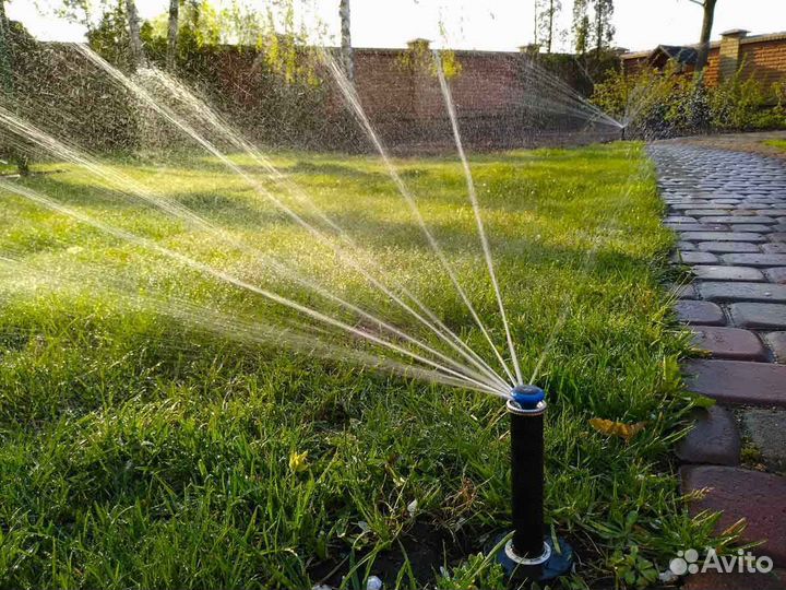 Продажа рулонного газона